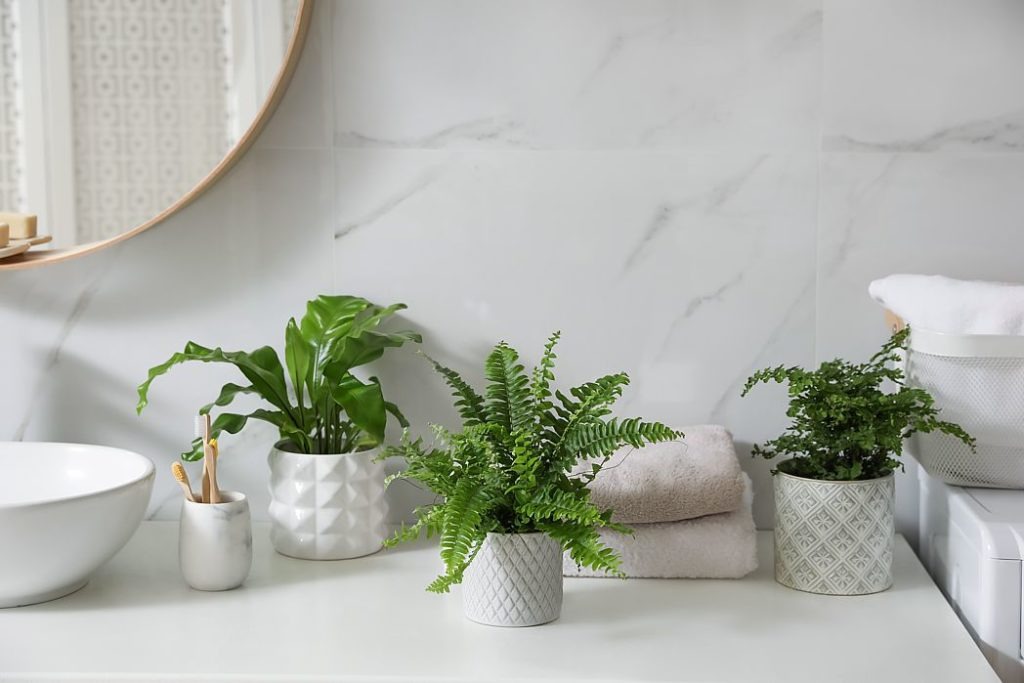 Beautiful green plants, natural fiber towels and textured plant pots epitomize Japandi style.